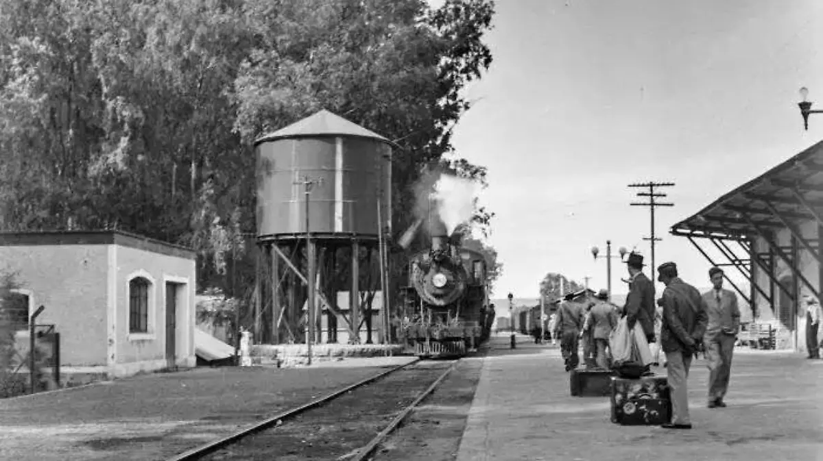 foto león en Digital- Rosa Maria Mena