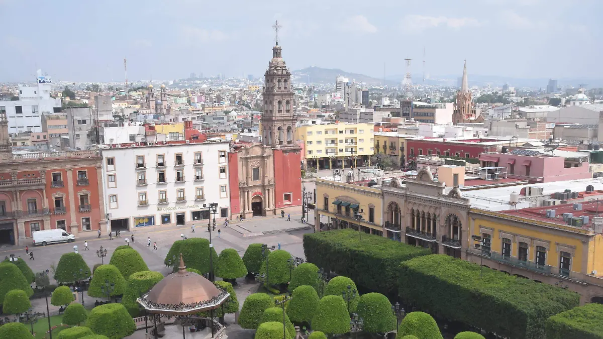 f carmona arboles (1)