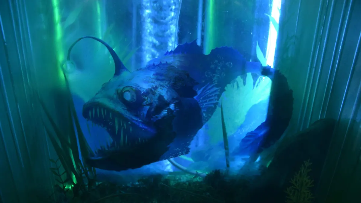 f carmona expo acuario 