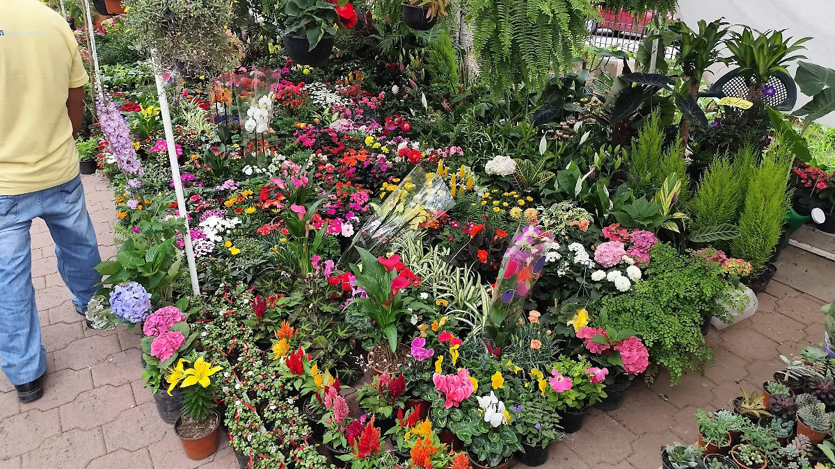 Guanajuato florece con la Expo Feria de las Flores en el Jardín El Cantador1