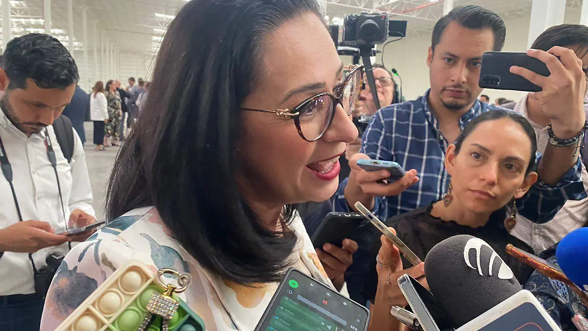 Cristina Villaseñor, titular Secretaría de Economía de Guanajuato