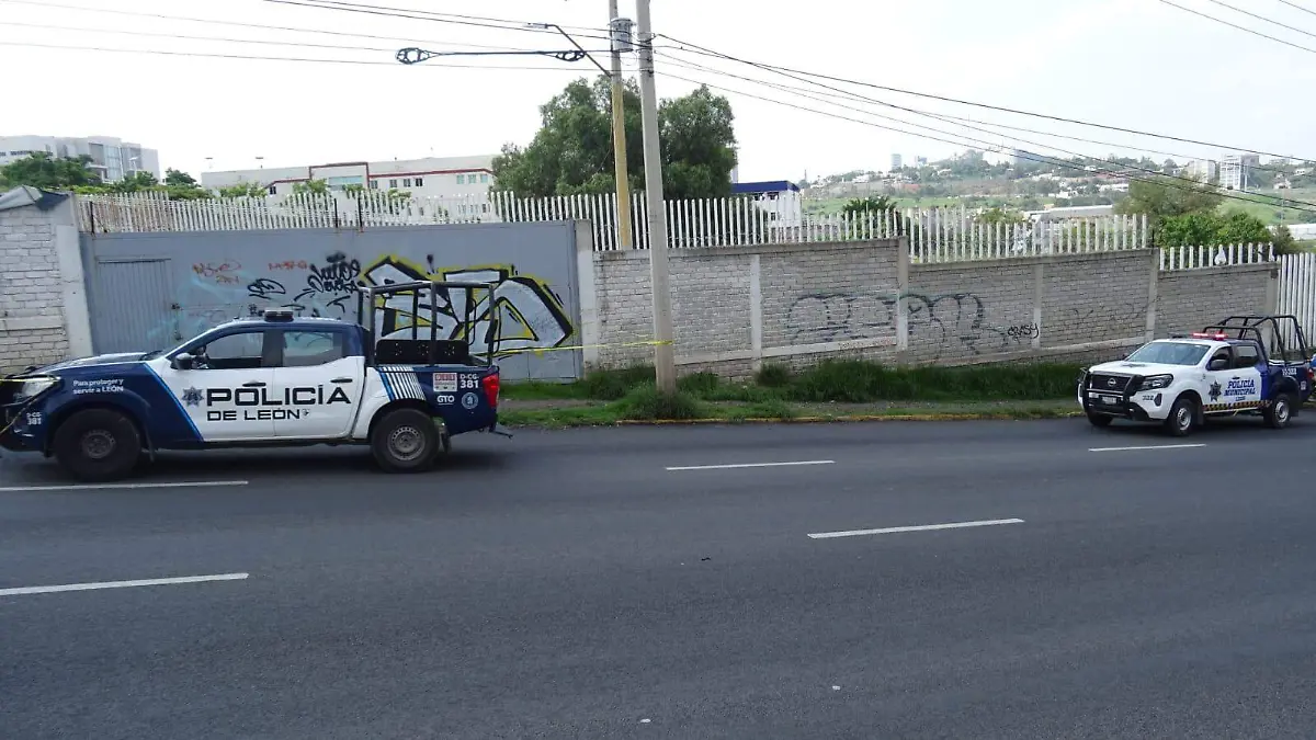 29d1e33c-3b83-4c63-a02b-84558b8fc49d