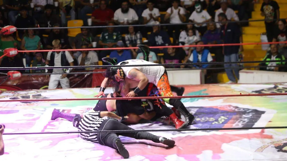 LUCHA LIBRE (2)