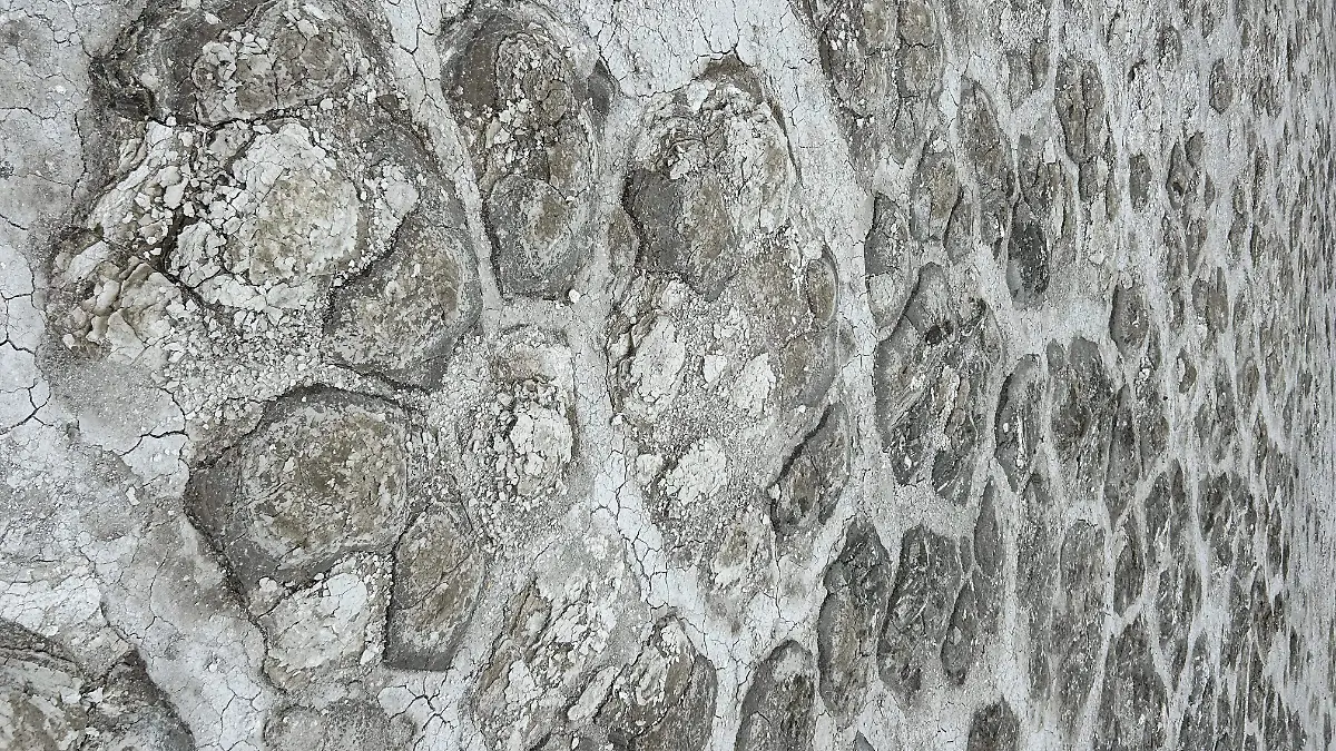 WhatsApp Image 2025-07-09 at 4.39.13 PM.jpeg