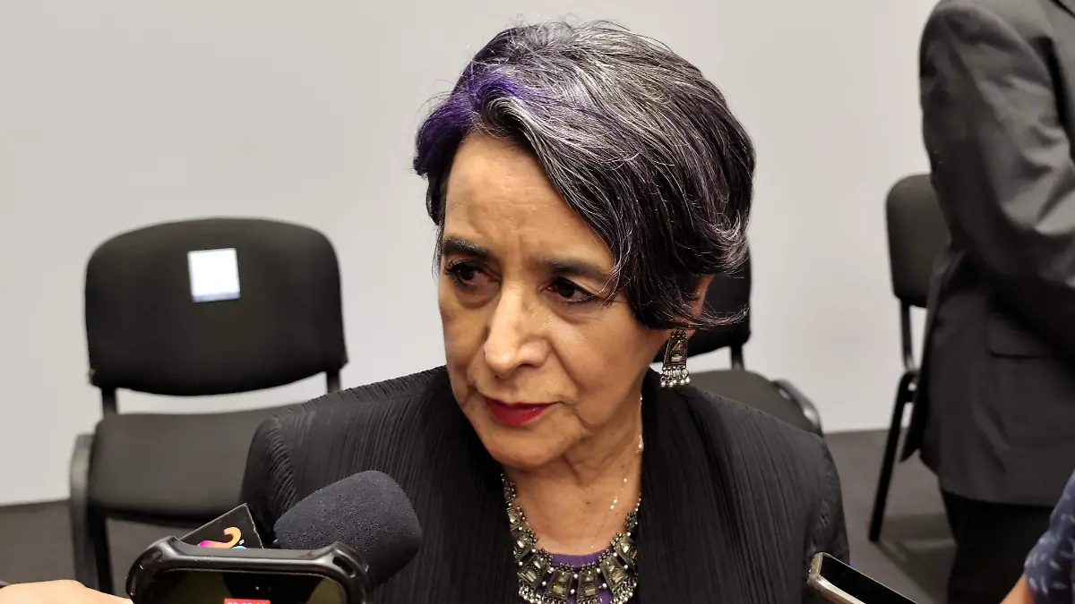 Olga Adriana Hernández Flores, titular de Instituto Nacional de Antropología e Historia, delegación Guanajuato