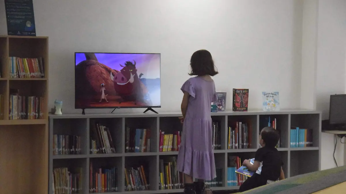 f carmona biblioteca (6)