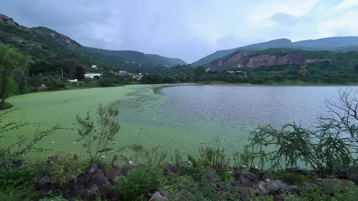 A 40 minutos del Centro de León está el Ojo de Agua, un manantial que volvió a la vida con las lluvias 