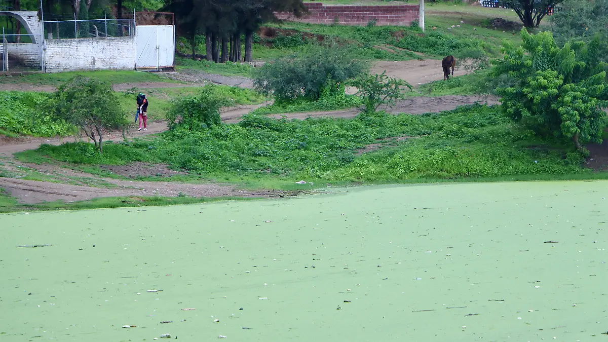 A 40 minutos del Centro de León está el Ojo de Agua, un manantial que volvió a la vida con las lluvias 