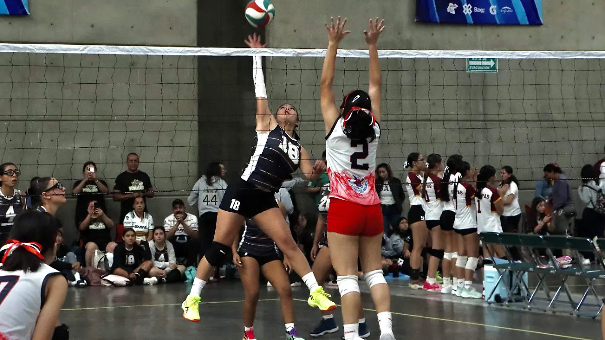 Festival Voleibol - Fco Meza (9)