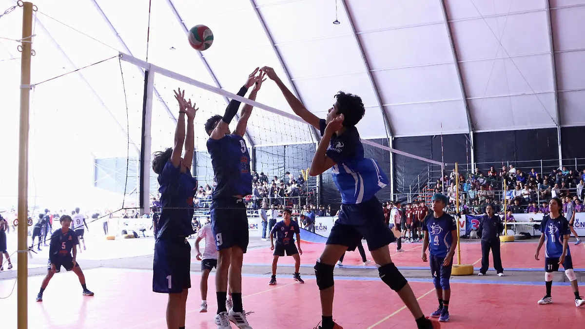 Festival Voleibol - Fco Meza (27)