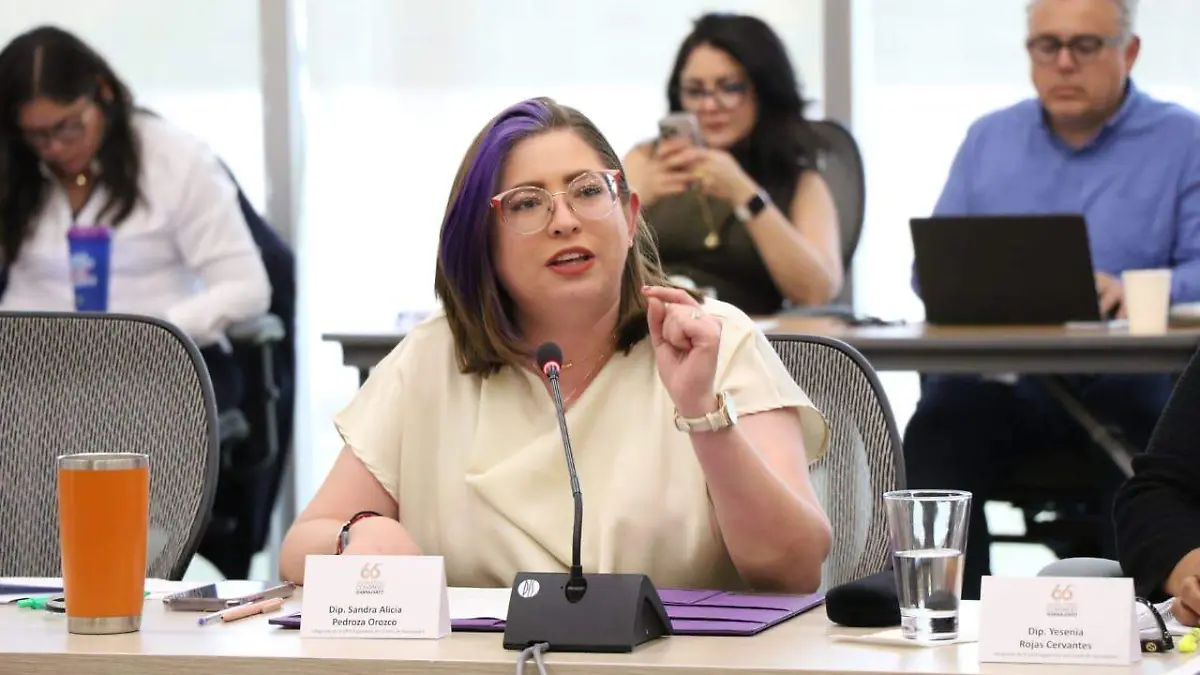 Diputada de Movimiento Ciudadano, Sandra Pedroza Orozco