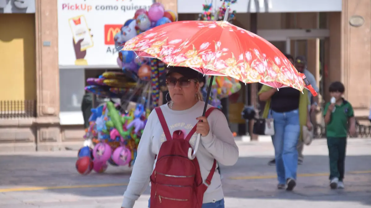 F CARMONA CALOR (4)
