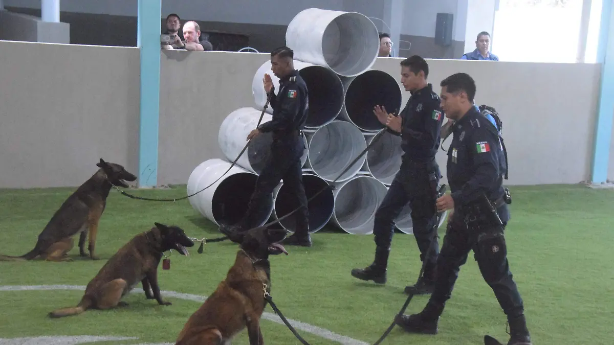f carmona cuartel grupos especializado policia (13)
