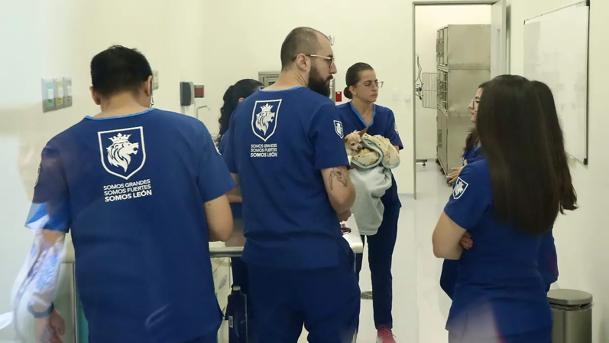 Hospital veterinario