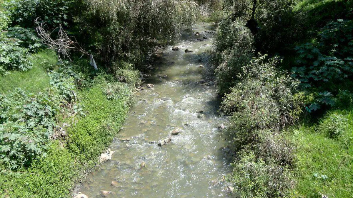 ¿De río a parque Autoridades capitalinas buscan transformar el Río Guanajuato 2