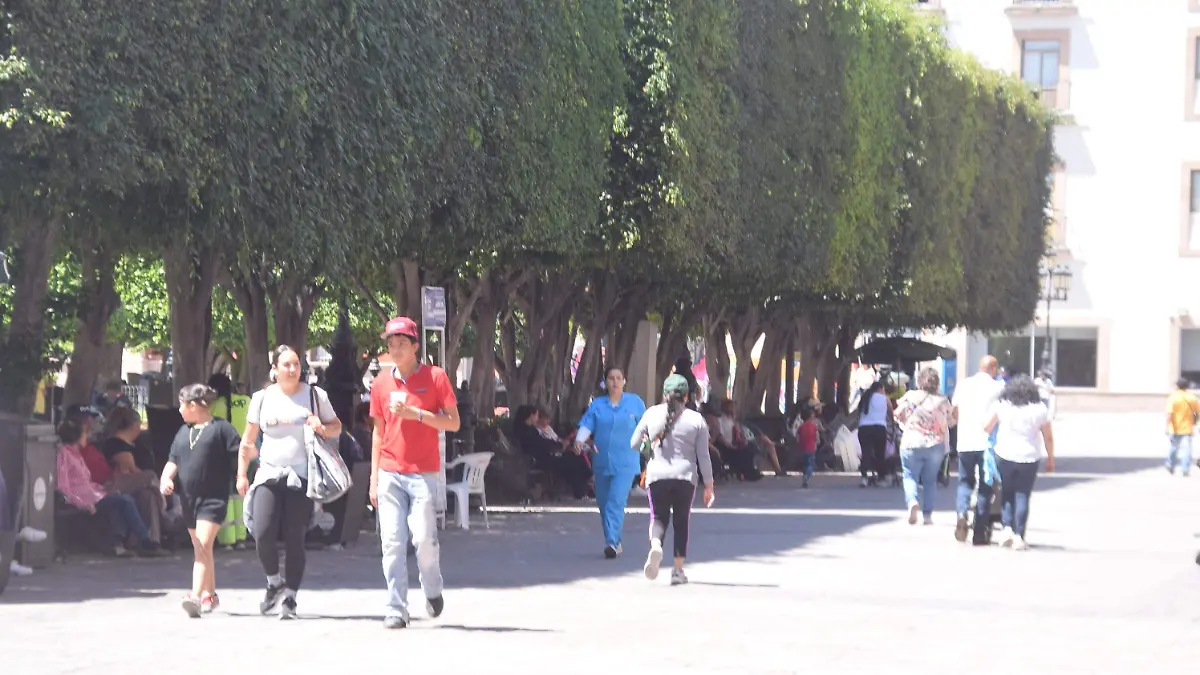 f carmona recomendaciones cuaresma (calor) (2)