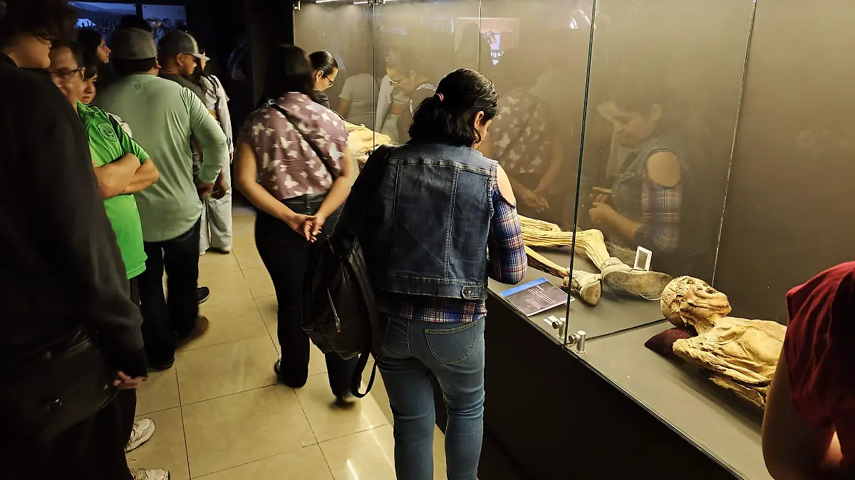 Las Momias de Guanajuato Un recorrido que une historia, ciencia y tradición en el corazón de la ciudad 14