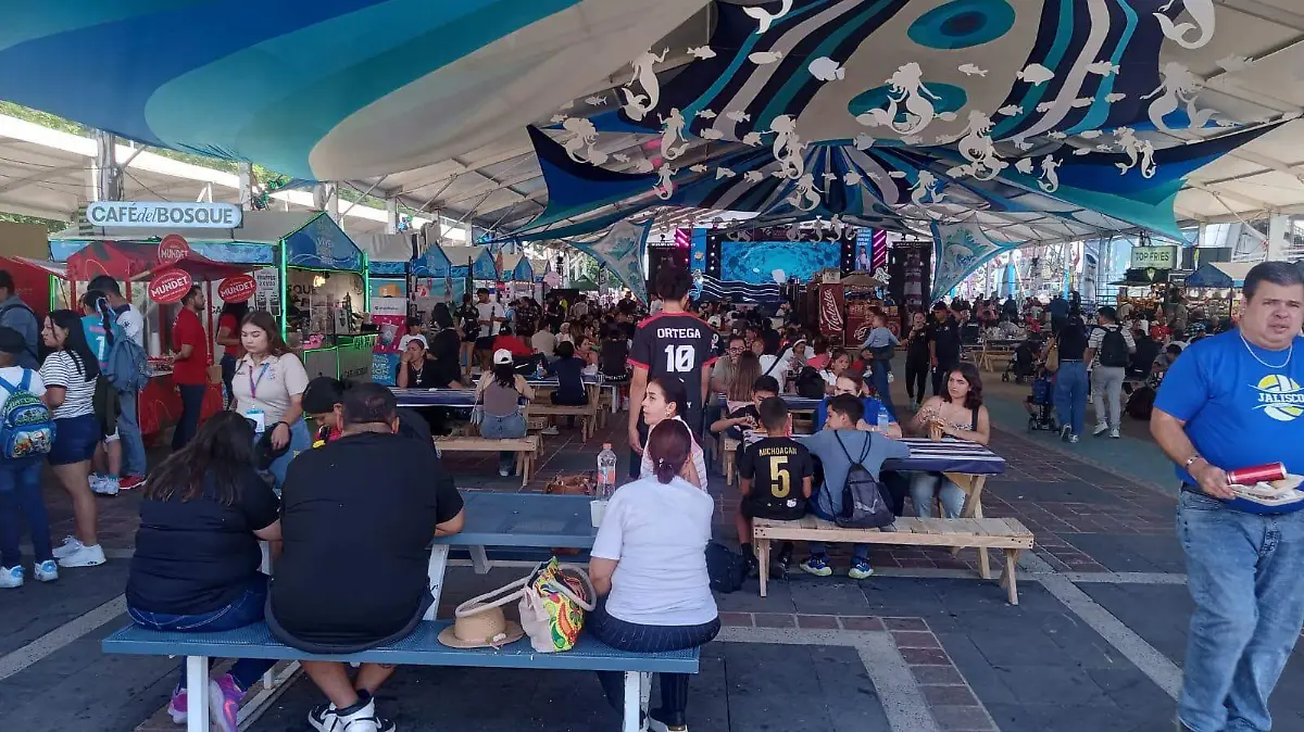 festival de verano (1)