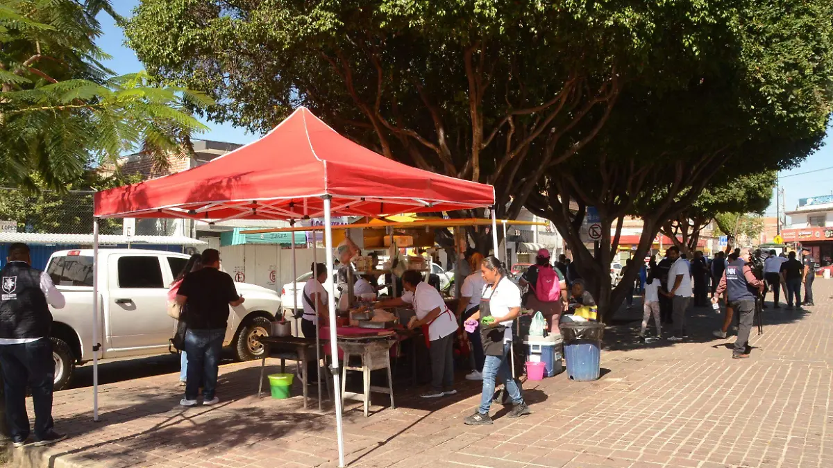 fco carmona reordenamiento coecillo (12)