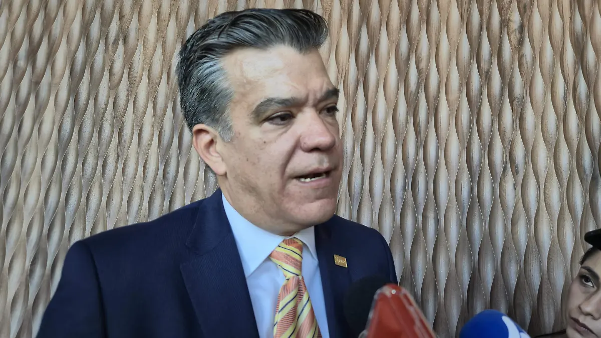 Fernando Padilla, presidente de la APIMEX 