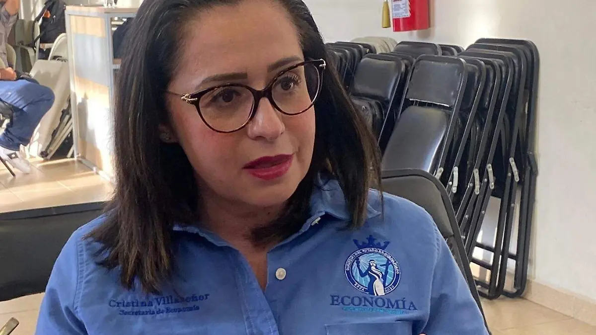 Cristina Villaseñor Aguilera, titular de la Secretaría de Economía de Guanajuato