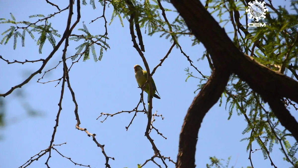 FOTOS SOL y VESP (4).jpg