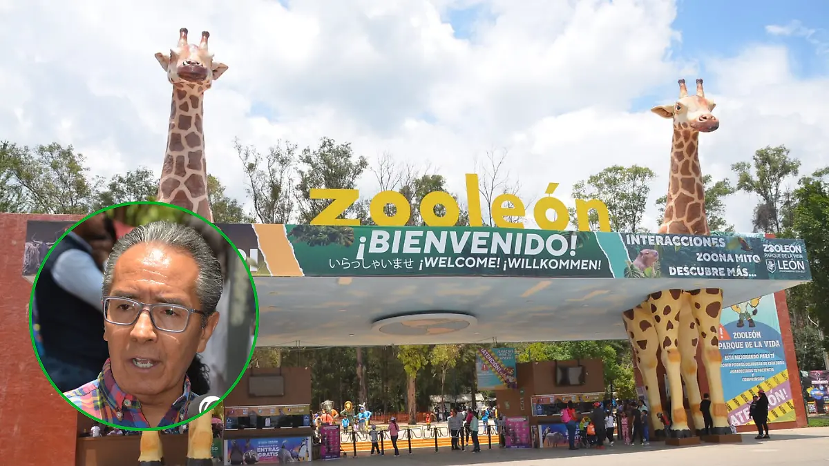 Diseño sin título (13)