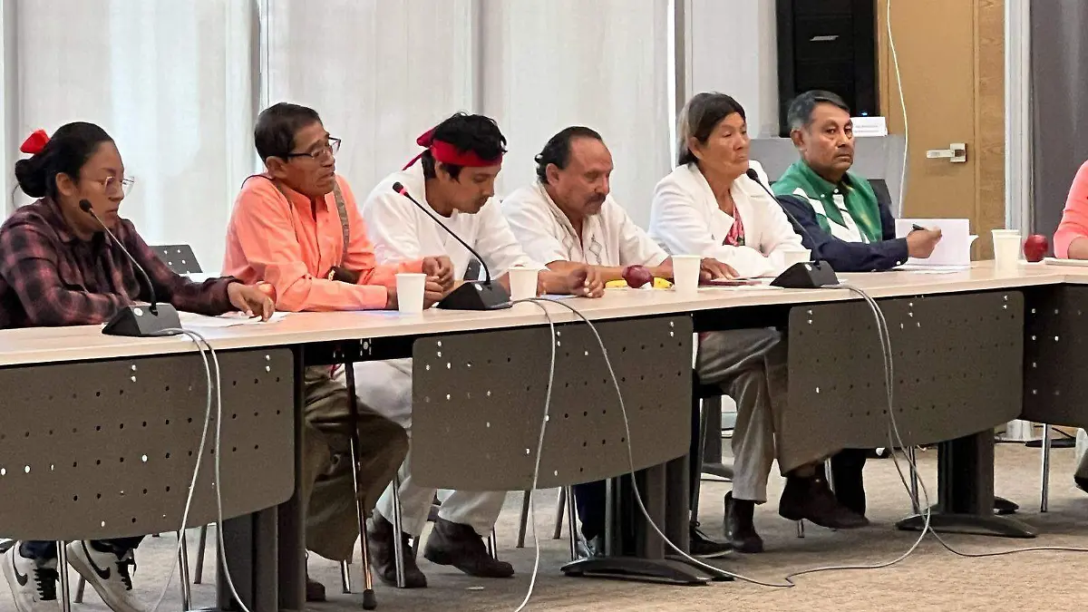 Guanajuato – Conformarán el primer partido indígena de Guanajuato