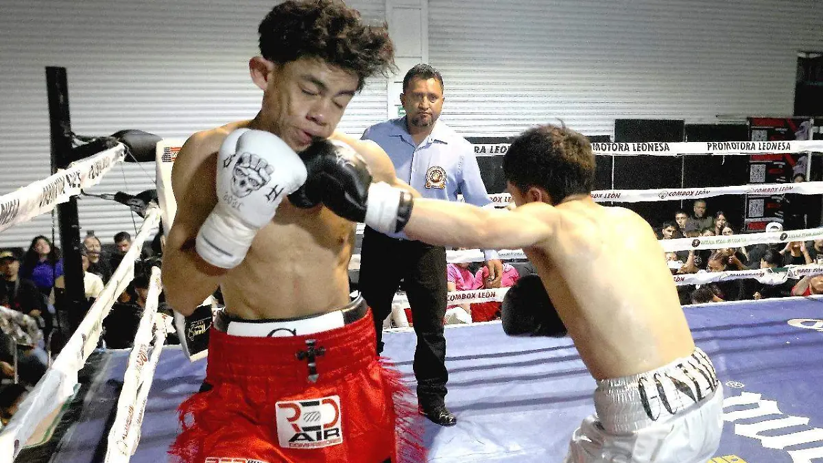 Cortesia Promotorsa Leonesa de Boxeo Talento Leones V (2)