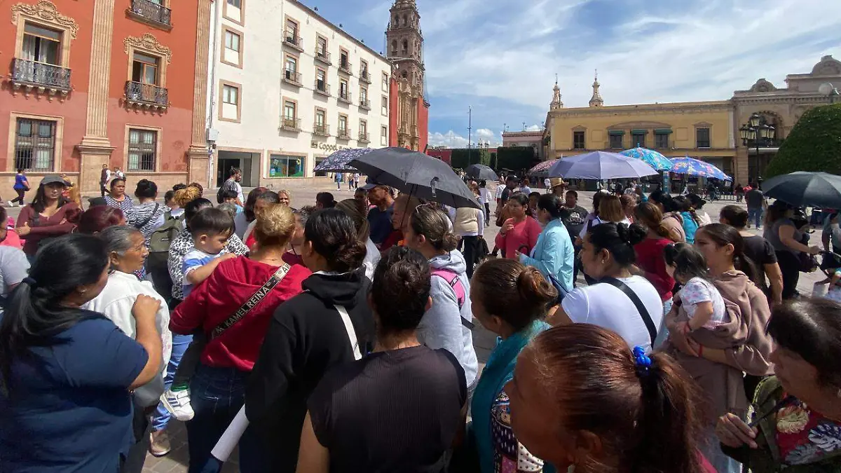 Beca manifestación (1)