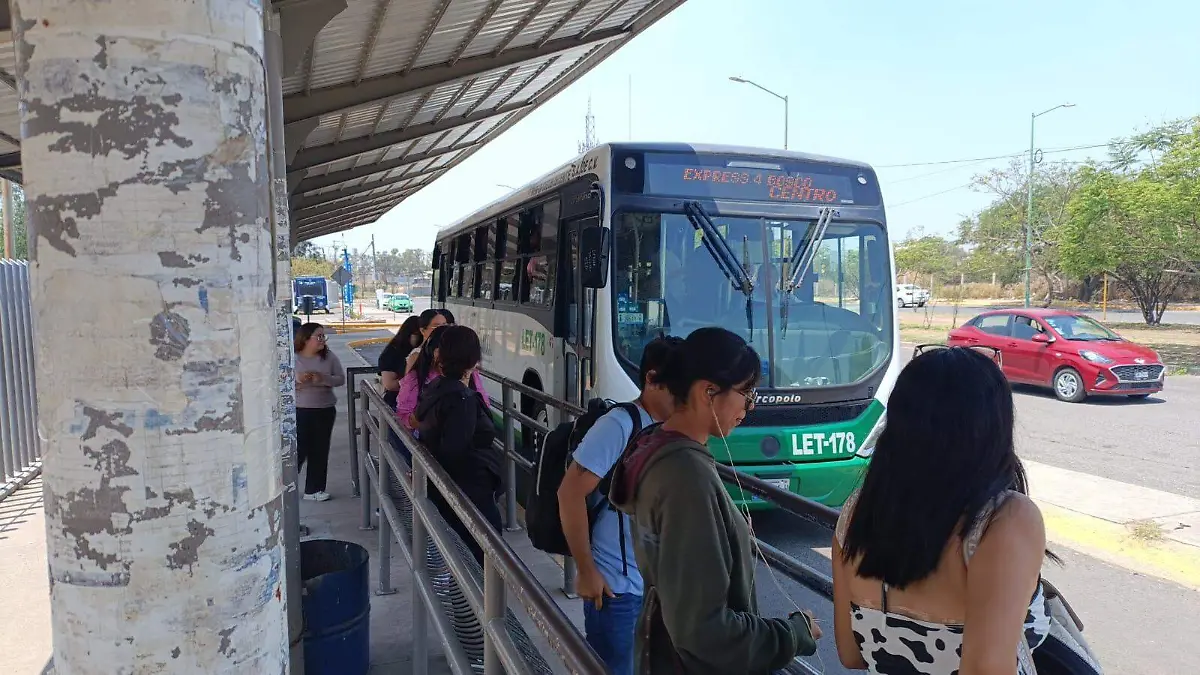 WhatsApp Image 2025-08-19 at 11.17.11