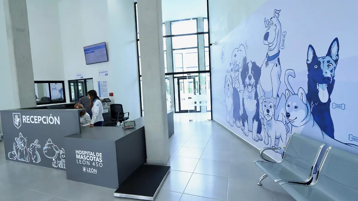 Hospital Veterinario