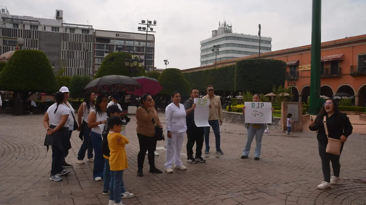 F CARMONA MANIFESTACION IMS