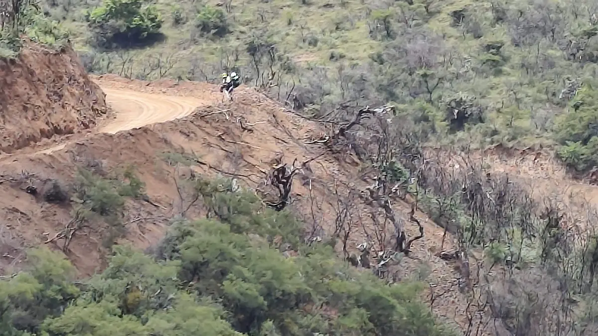 Alerta en Mineral de la Luz, Guanajuato: Tala de árboles por minera canadiense preocupa