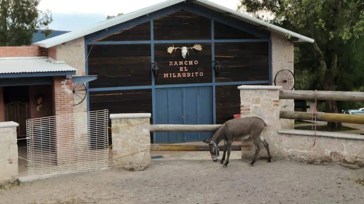 Escaramuzas Pedagógicas Caballito de Palo inician gira nacional en Guanajuato3