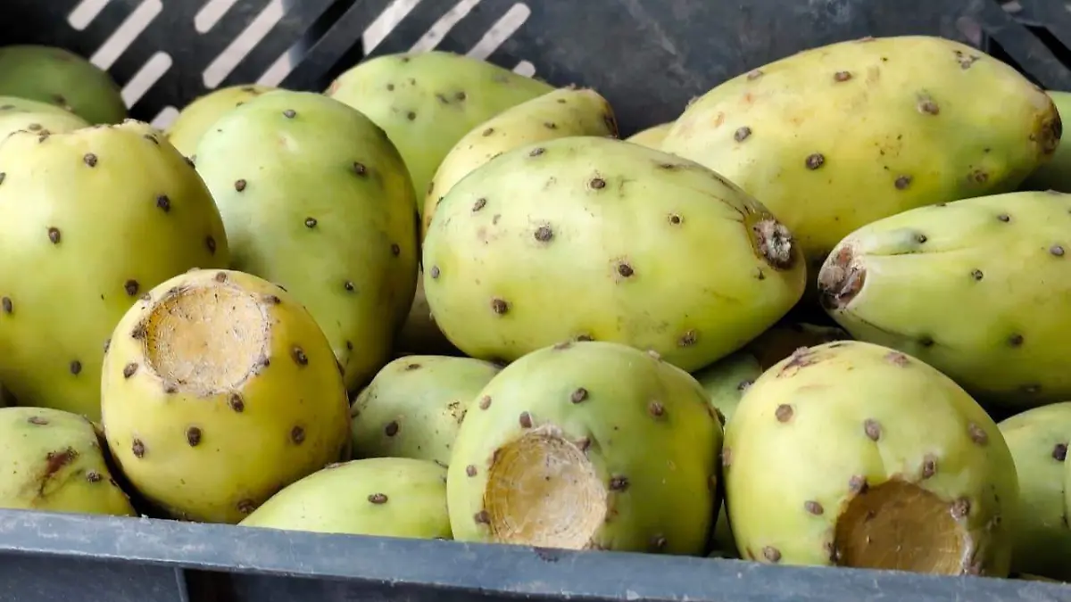 VENDEDORA DE TUNAS (3)