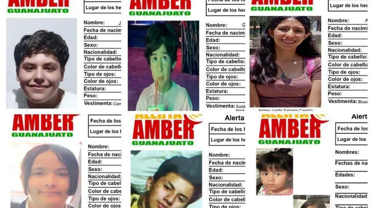 alerta amber gto