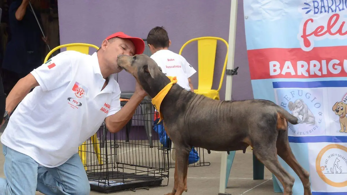 Marcos Aguilera - Rescatista de perros