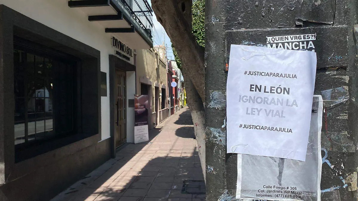 Justicia para Julia - carteles