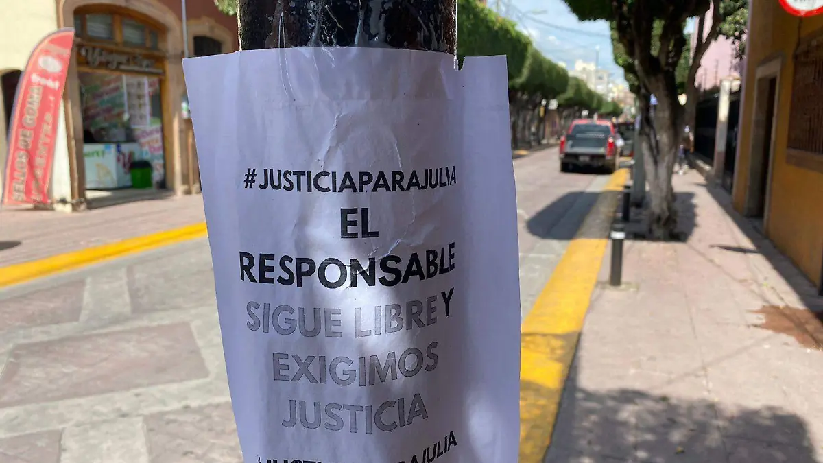 Justicia para Julia - carteles