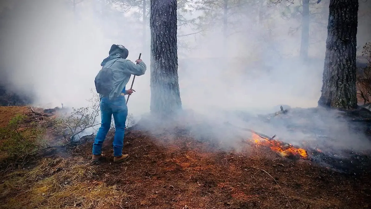 INCENDIO FORESTAL TABLÓN (4)