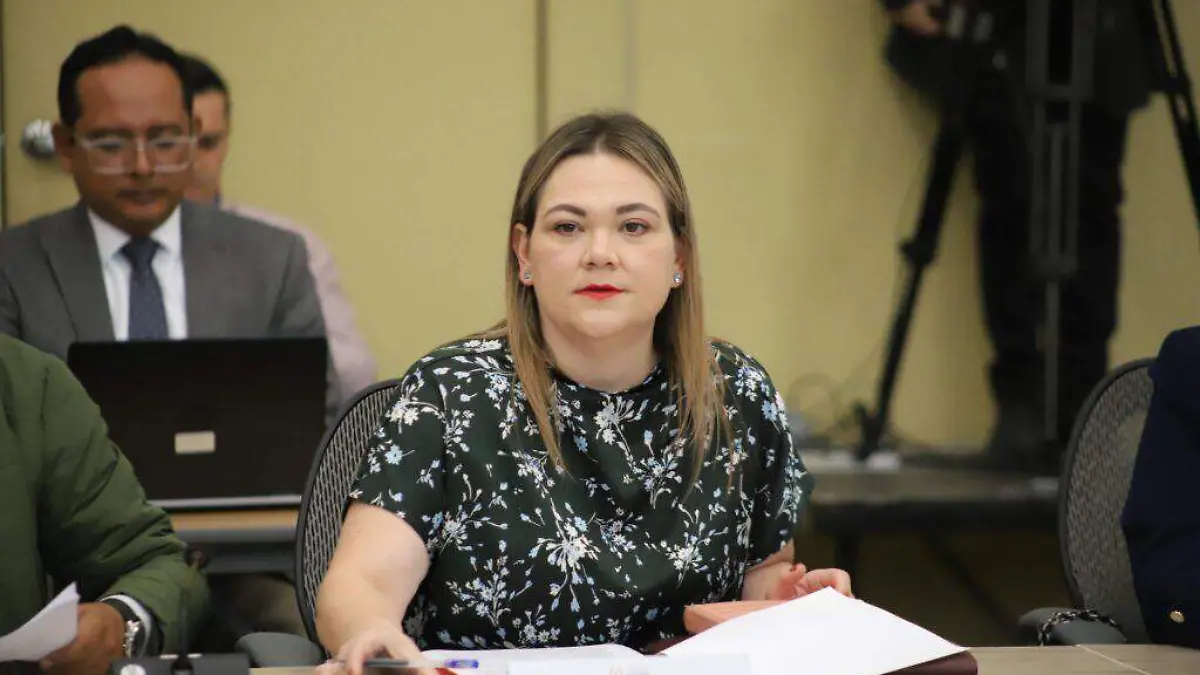 Guanajuato – Agricultores guanajuatenses solos, federación no activa la ventanilla de apoyos.jpeg