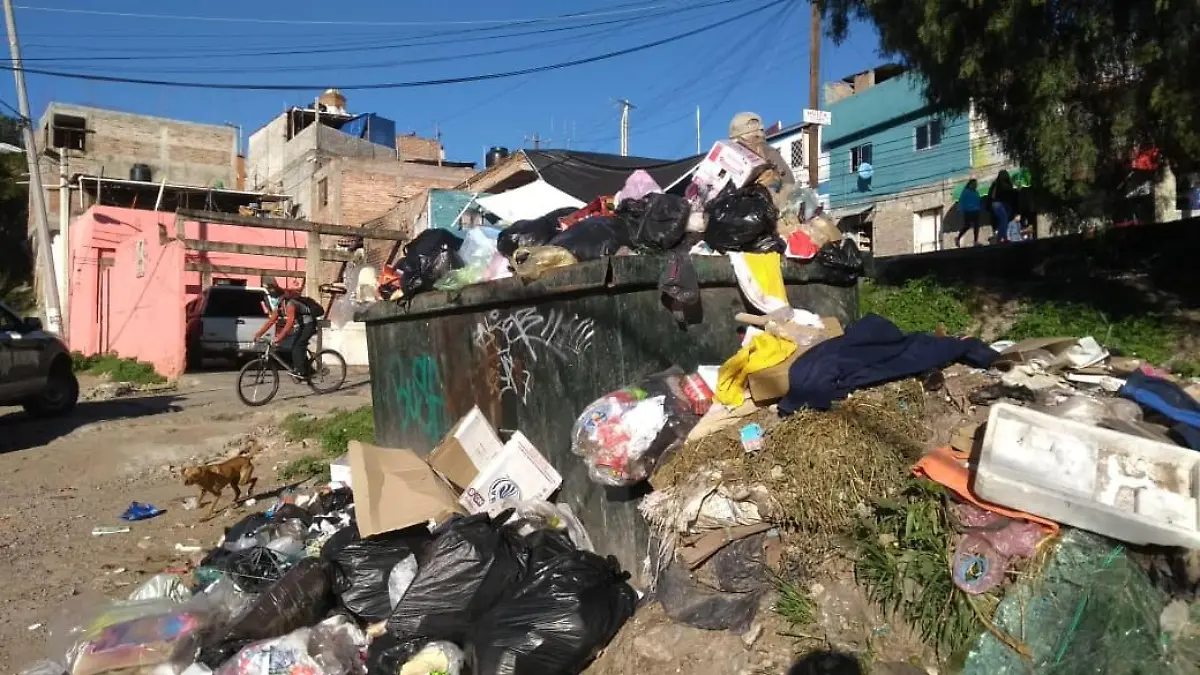 basura (2)