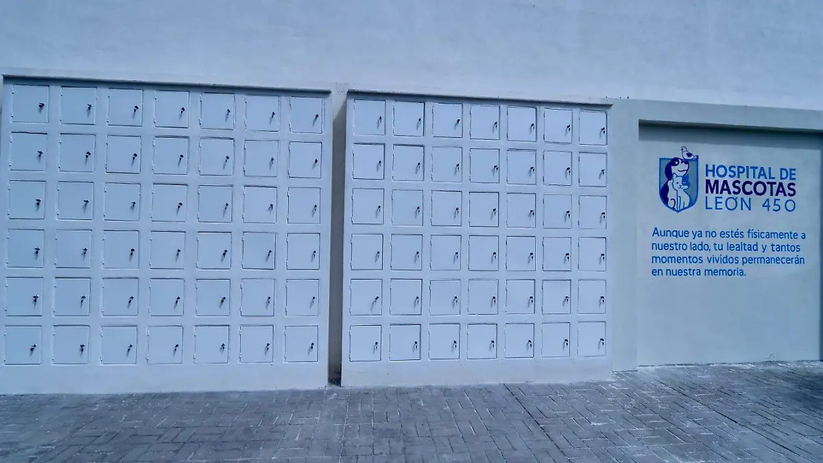 ¿Cuánto cuesta incinerar a tu mascota en el Hospital Veterinario de León?