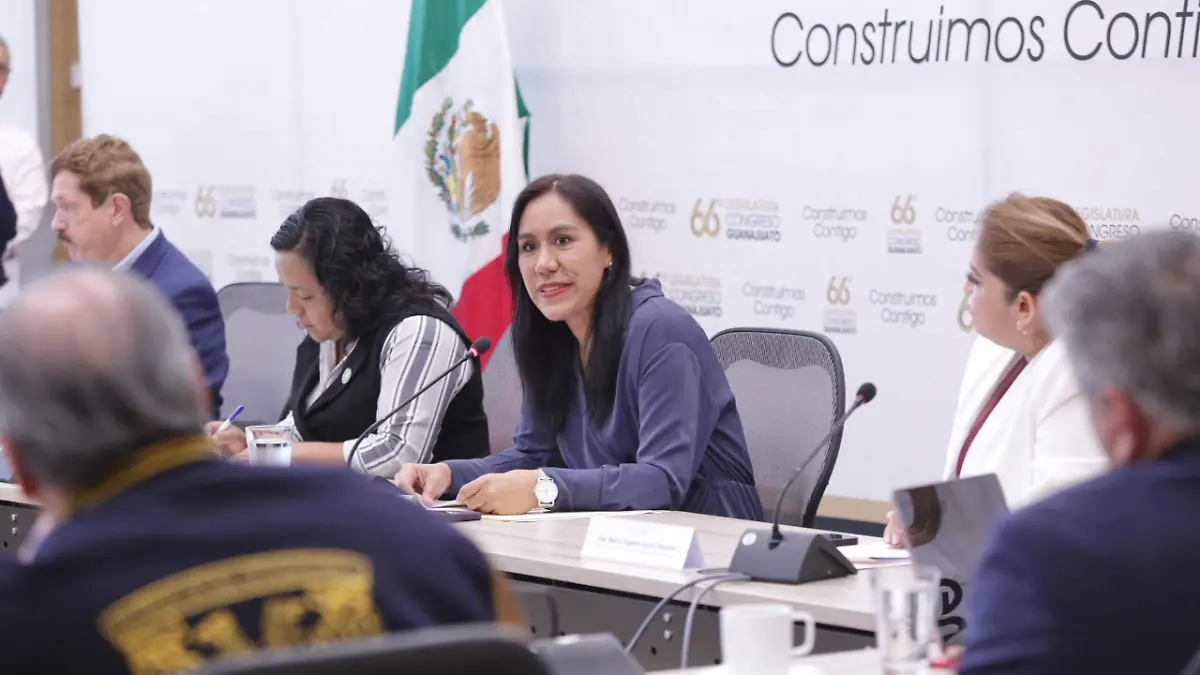 Guanajuato – Van contra el nepotismo en las elecciones en Guanajuato