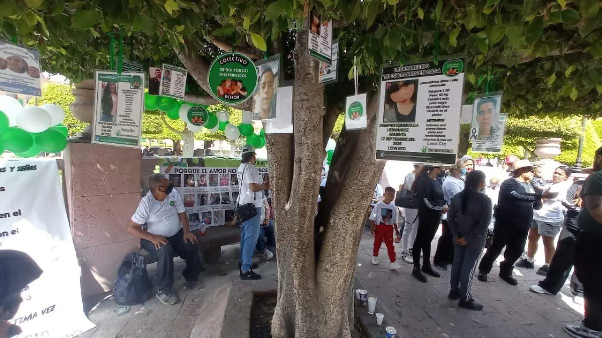 ARBOL DE LA ESPERANZA CARMONA (2)