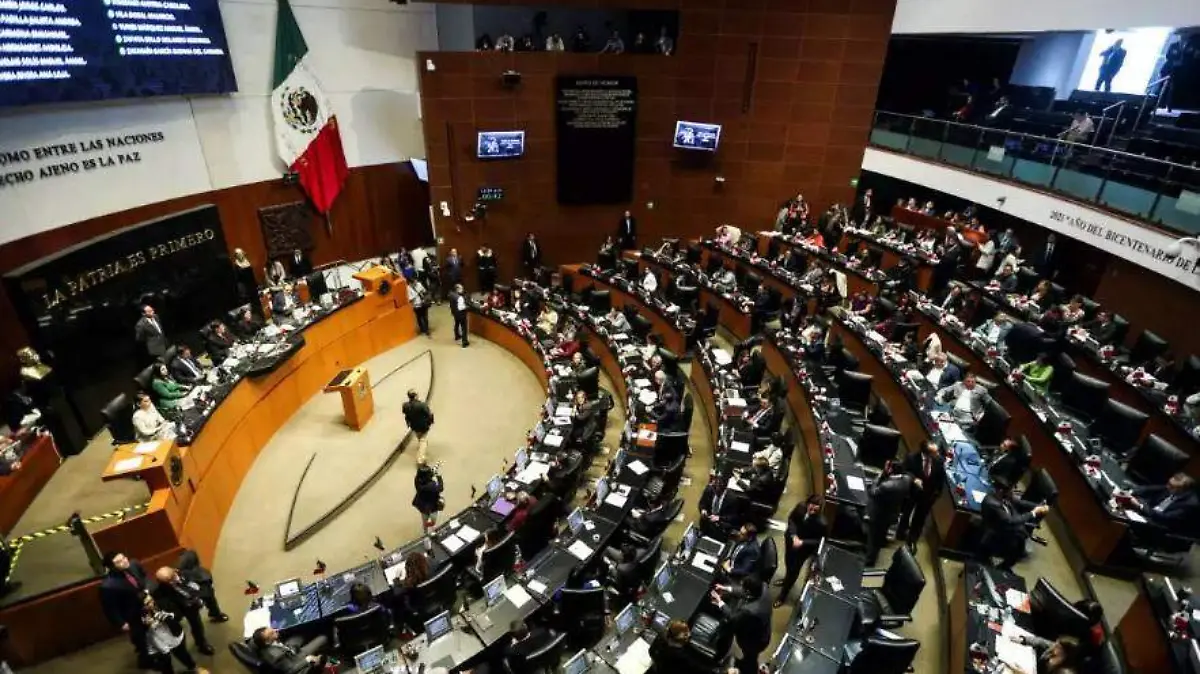 ley de amparo cortesía