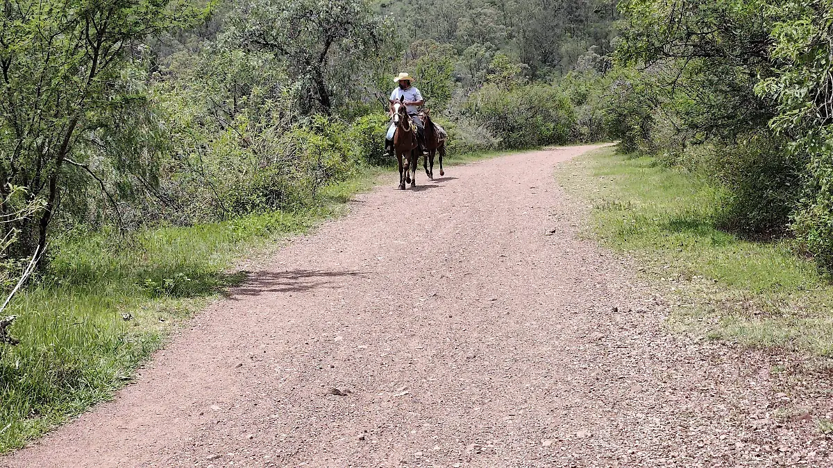 caminos rurales3