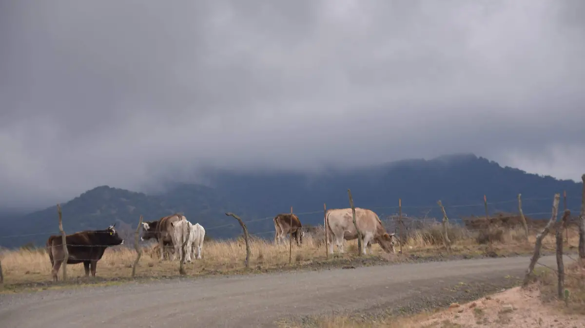f carmona nevadas (5)