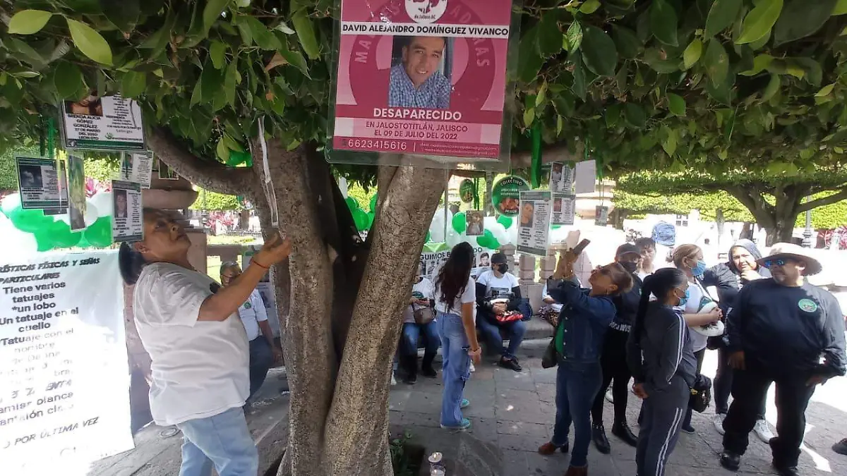 ARBOL DE LA ESPERANZA CARMONA (1)